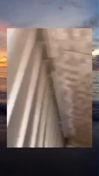 😨😂😂 - Memes For You #Shorts