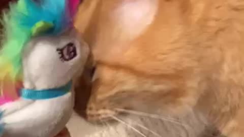 Unicorn gift for cat..