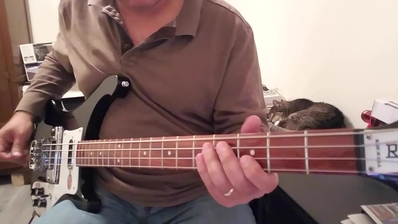 The Go Go's - Vacation Bass Cover