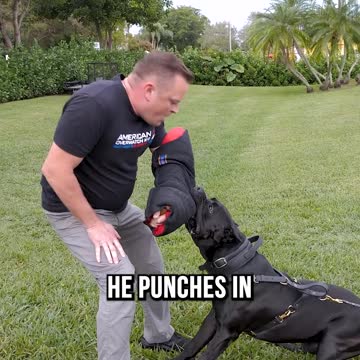 World's Thinnest Bite Sleeve