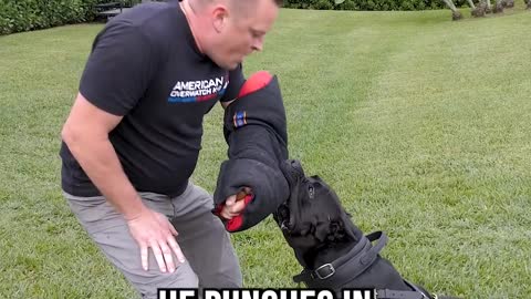 World's Thinnest Bite Sleeve