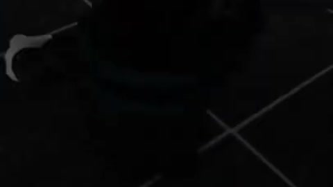 ROBLOX GAMING