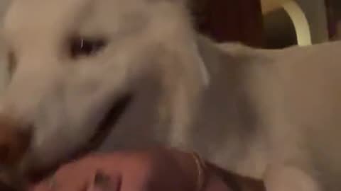 What the heck was that sound 😂😂