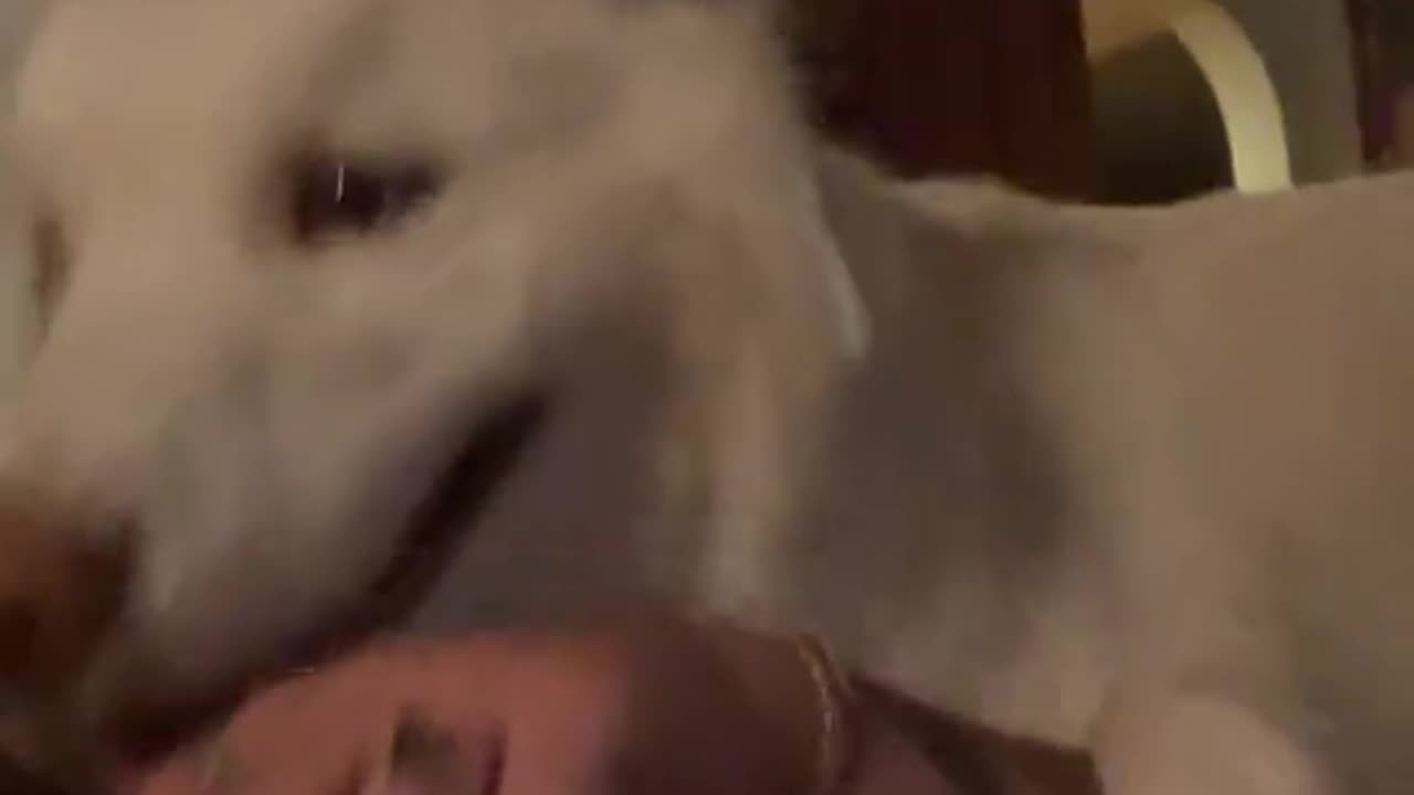 What the heck was that sound 😂😂