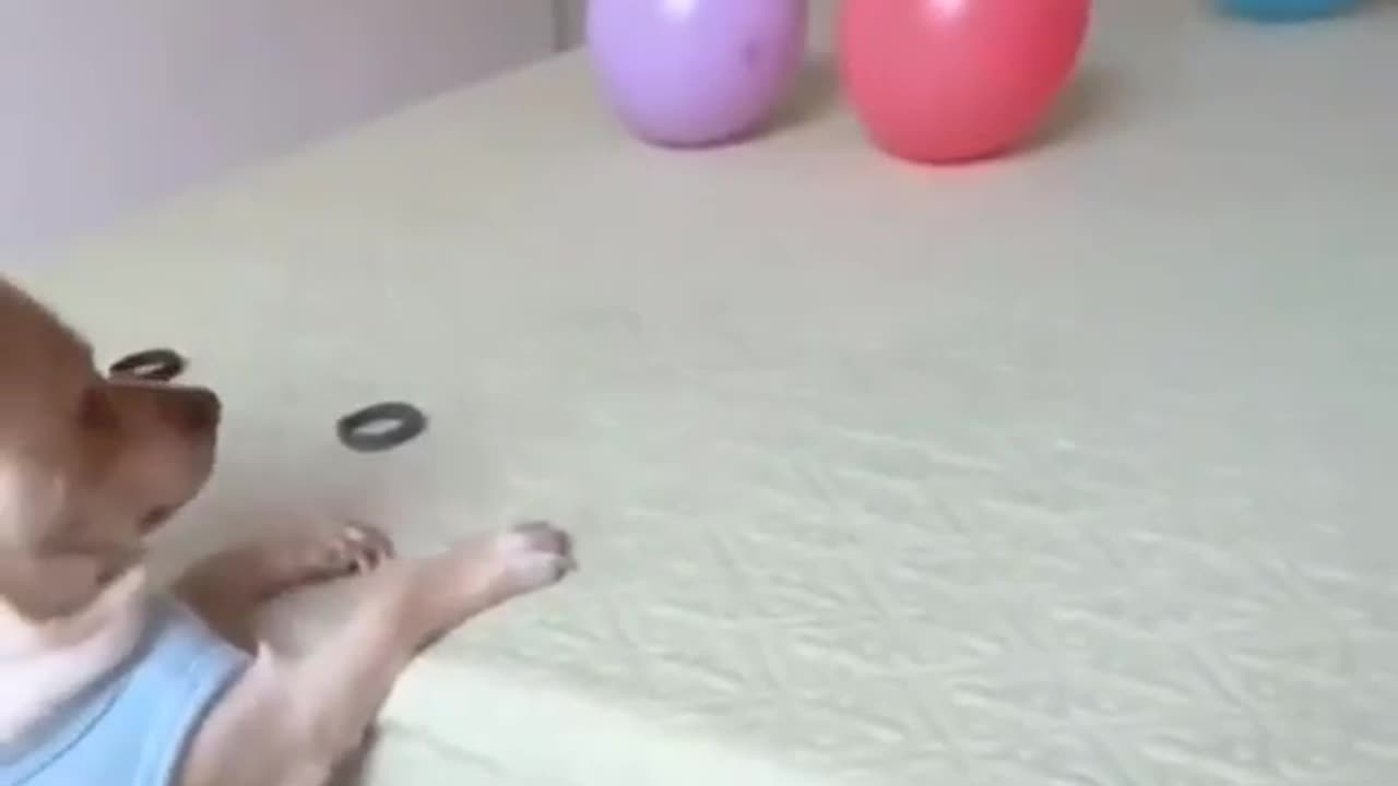 We all want the satisfaction of hitting the bullseye #shorts #shortvideo #video #virals #videoviral