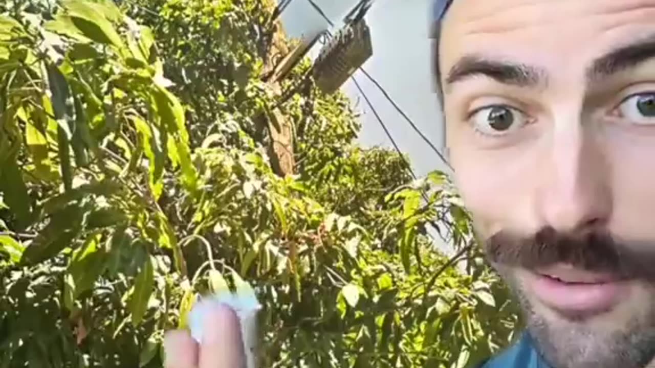 Follow The Money: Maui Fires 🔥