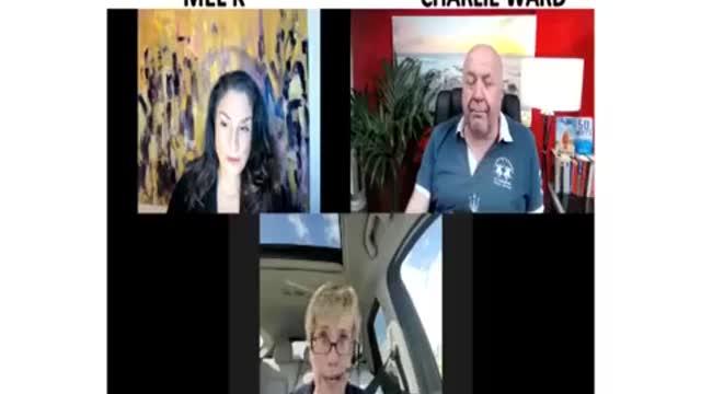 CHARLIE WARD REPORT WITH AMERICANS TRUCKERS WITH MEL K LEIGH DUNDAS.