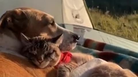 True friendship - it is to be together.