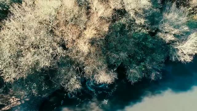 Música para RELAXAR e dormir