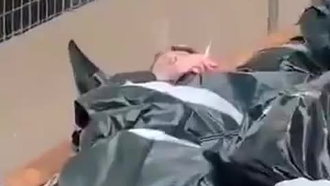 Falsi video di morti Ucraini per i media occidentali
