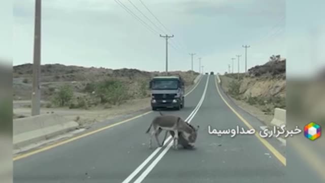 Warning . Heartbreaking video 🔞 terrible accident 😔