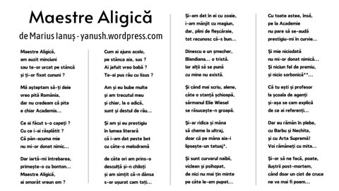 MAESTRE ALIGICĂ