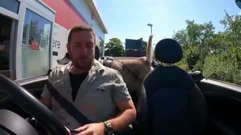 Embarrassing Husky at the KFC Drive Thru