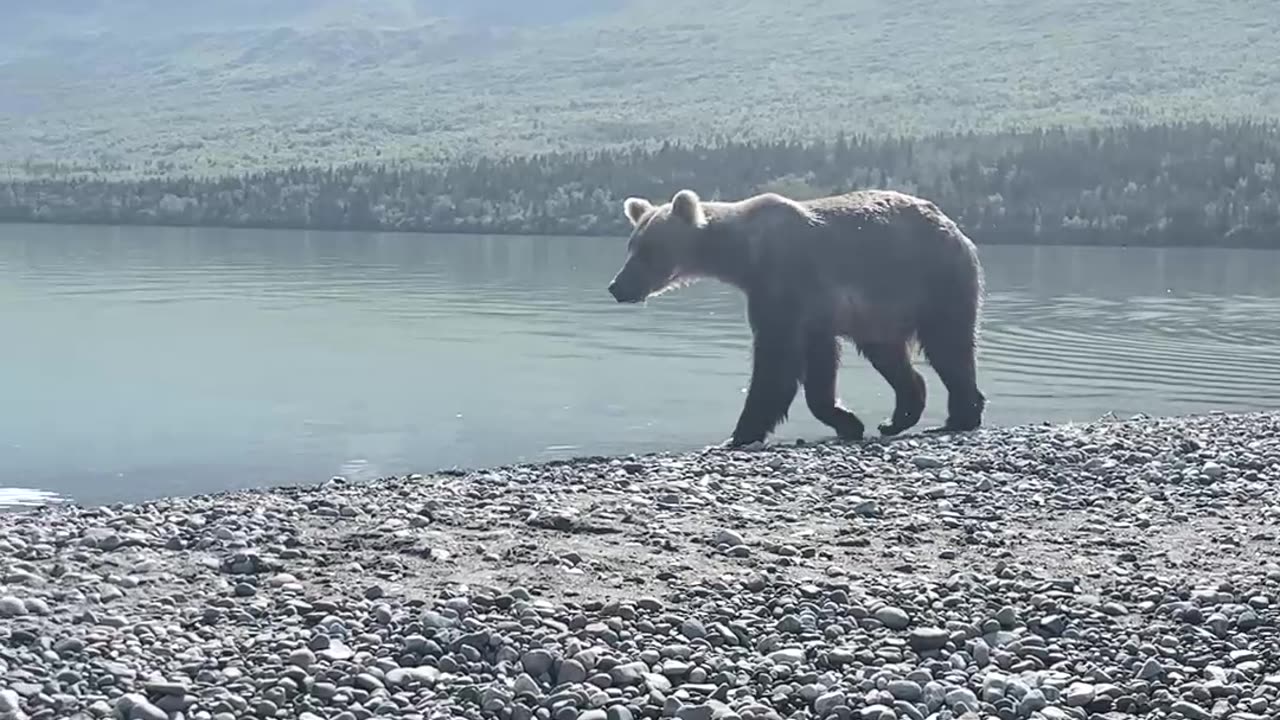 Another Beautiful Alaska Morning