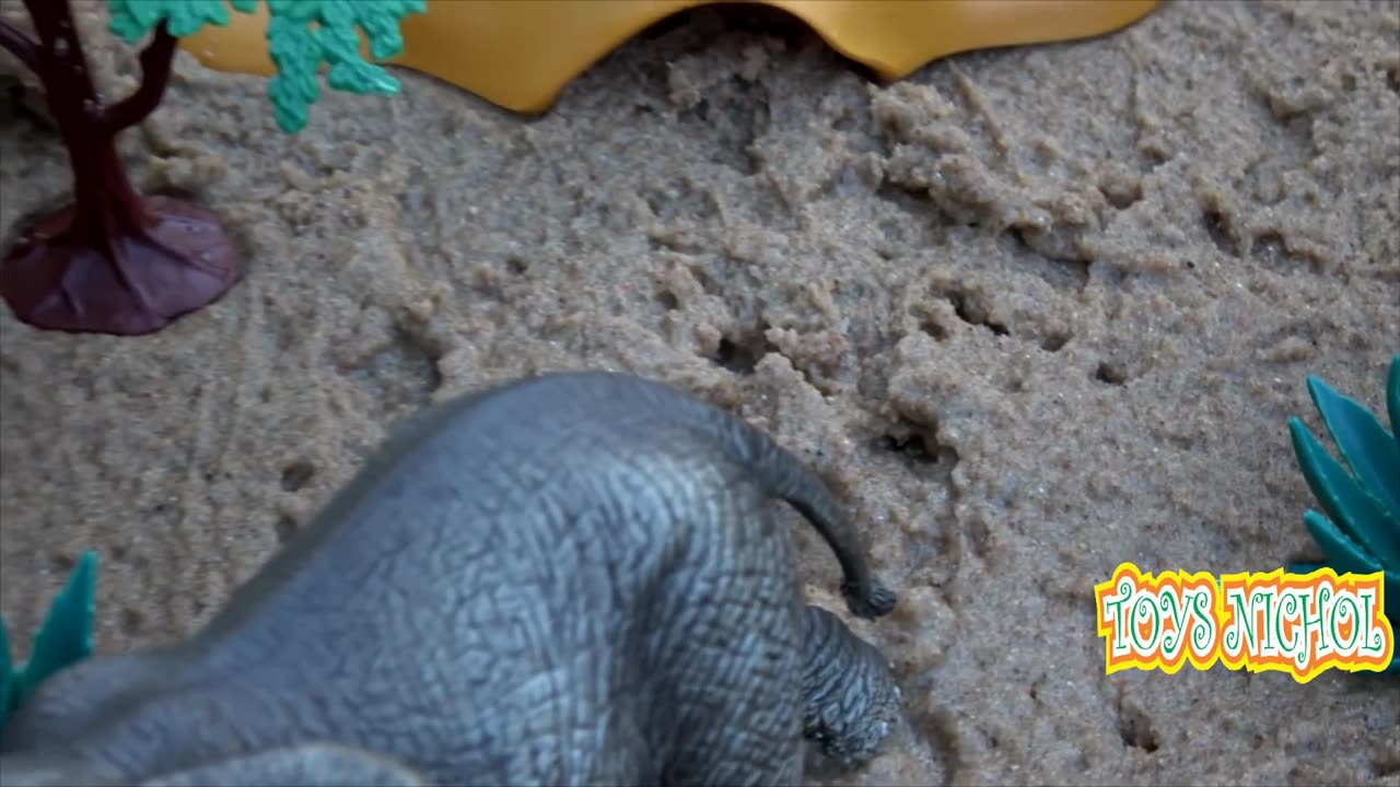 Tortoise and Sea Turtle Play Together in the Sand and Look For food