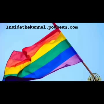 STOP INDOCTRINATING THE RAINBOW FLAG
