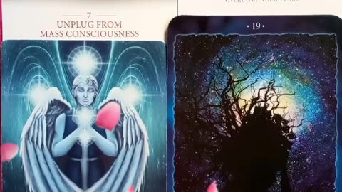 11/13/2023 Daily reading