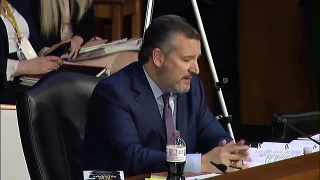 Sen Ted Cruz Grills Ketanji Brown Jackson On 1619 Project,CRT, Sentencing Record