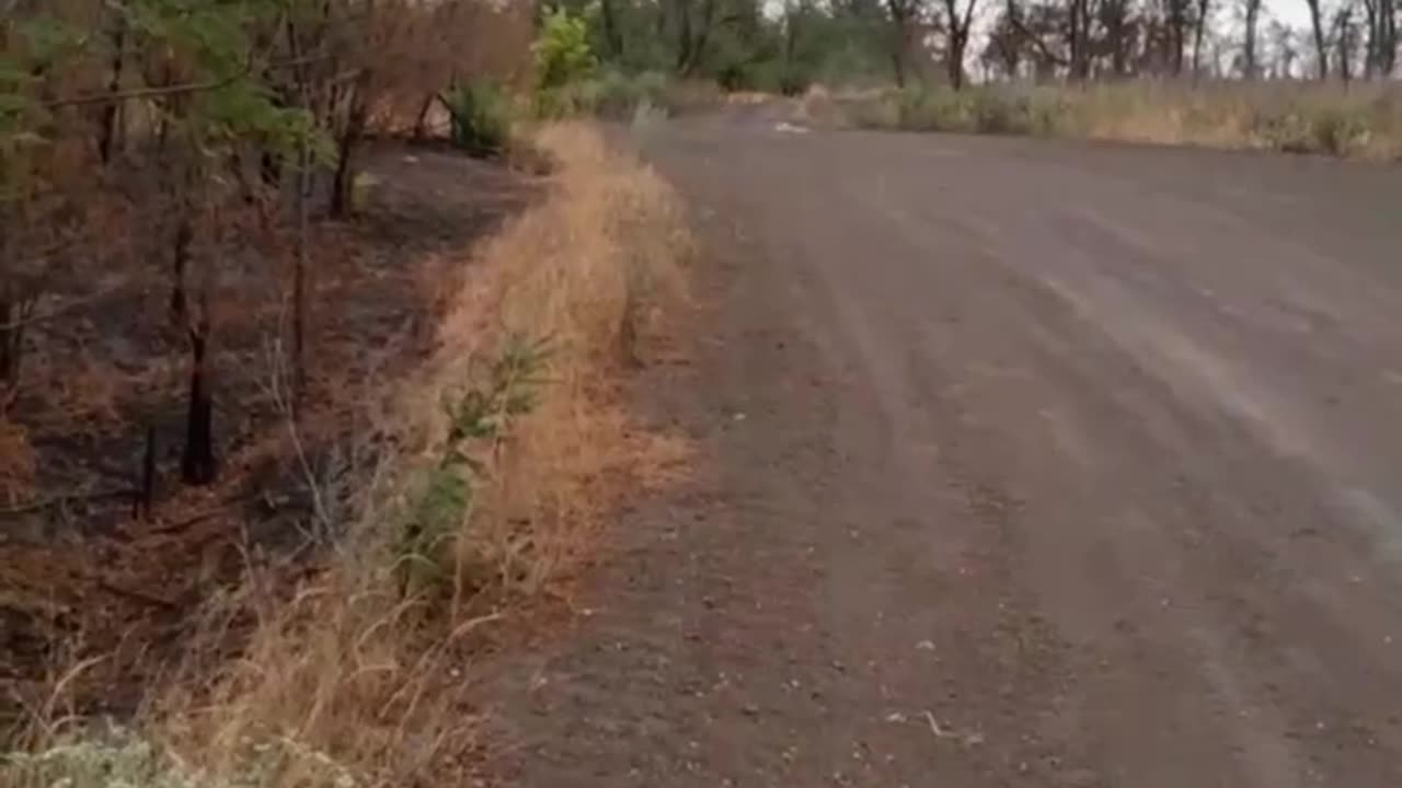 The process of demining a road for Russian units in the Zaporozhye region