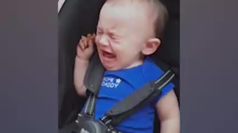 Funniest Baby Reaction Meet Animals 😂