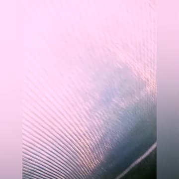 Branquinha makes a lot of mess