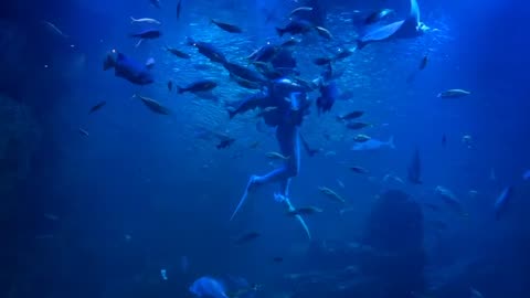 Swimming on pool and with fishing