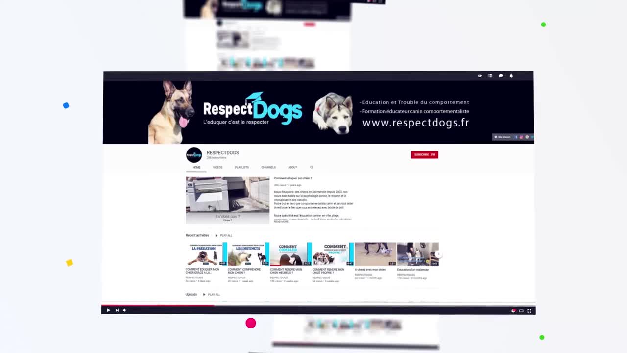 MON CHIEN TIRE EN LAISSE ! COMMENT FAIRE ?