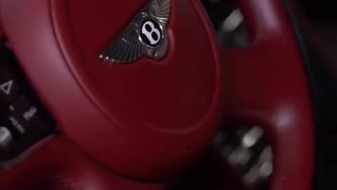 Bently Advertisement Parody
