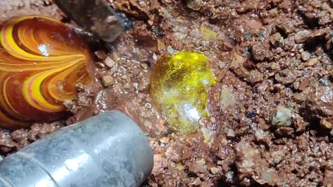 After the mudslide_ some special gems were discovered. diamond_ gold