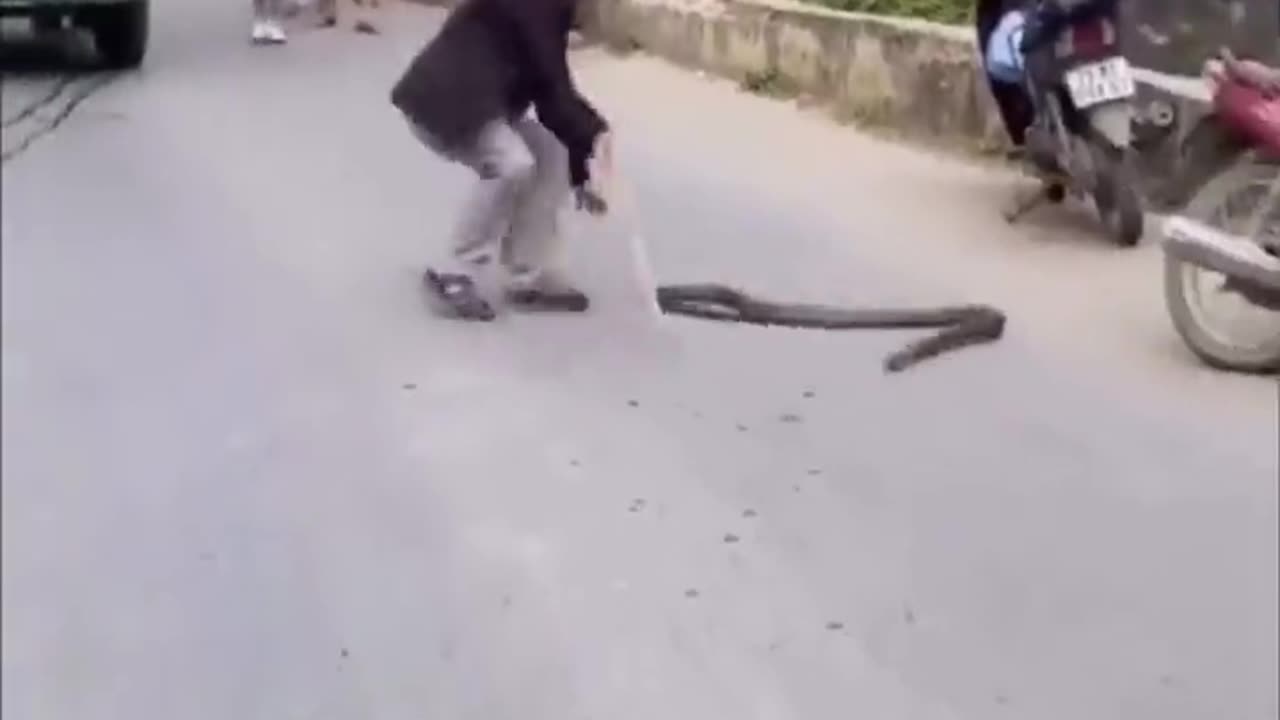 Professional Snake Handler Meets His Match