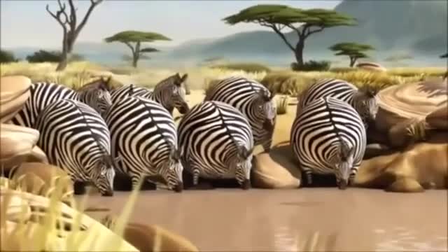 Very fat and funny animals