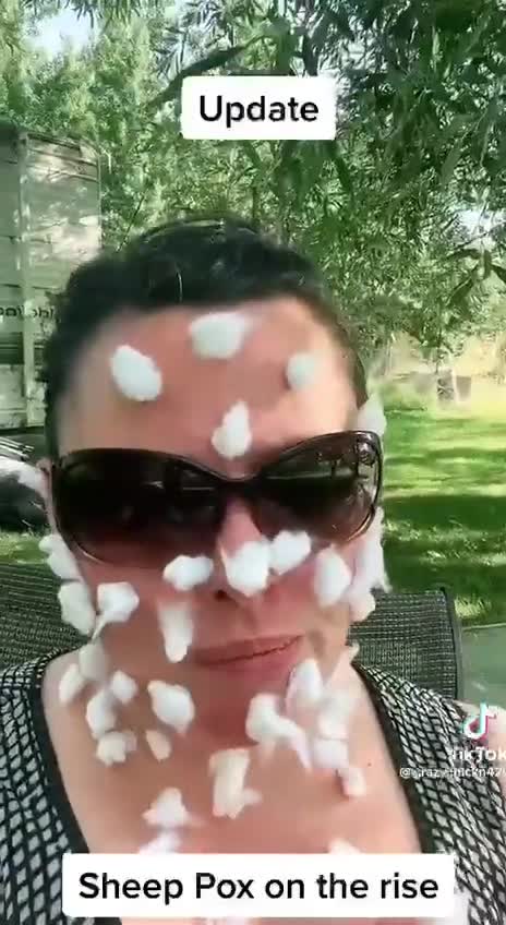 Sheep Pox on the rise!