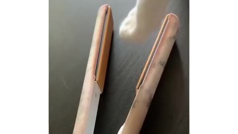 Funny cat singing😂