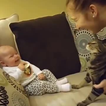 Funny Babies Laughing Hysterically at Cats Compilation (2017)