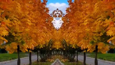 last autumn