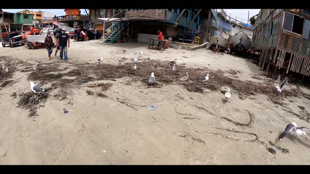 Life in Popotla 🇲🇽