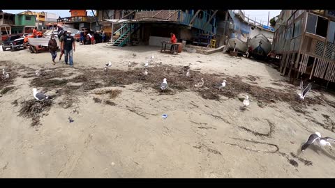 Life in Popotla 🇲🇽