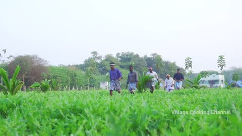 WATERMELON JUICE _ Farm Fresh Fruit Juice Making _ Watermelo