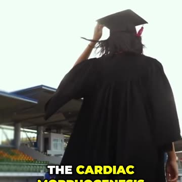 Finding Your Path: Embracing the Journey Towards Success