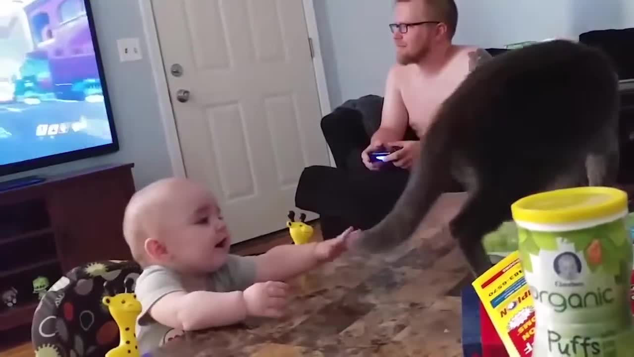 Funny Videos Of Kids Having Fun With Animals