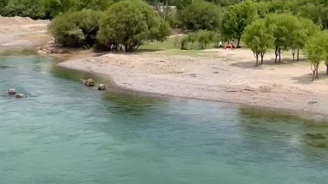 The clear lake water makes me so excited