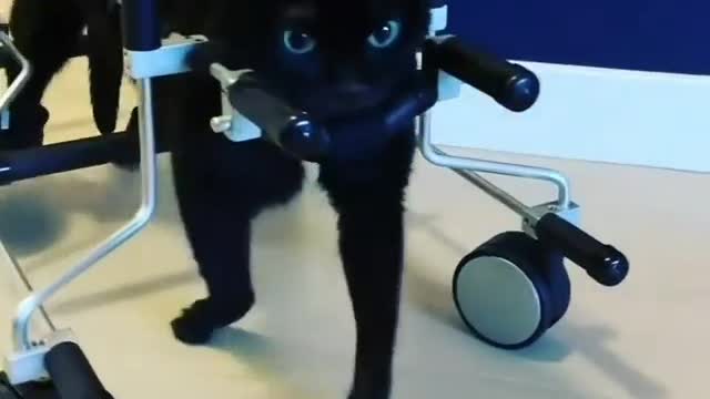Exciting video!