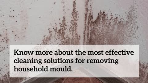 Simple Methods to Remove Mould from Walls