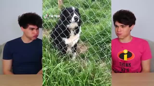 Try Not To Laugh Challenge // Twins challenge