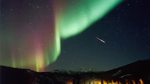 Avalon - Testify To Love