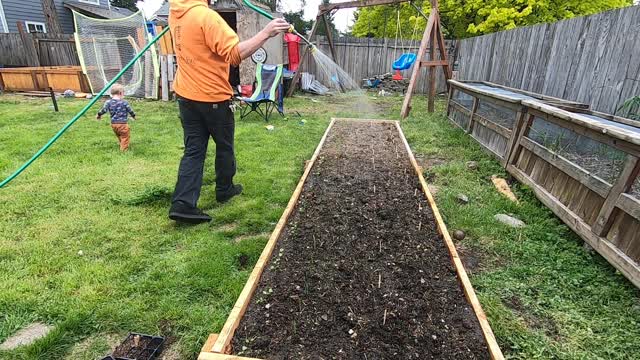 Backyard Urban Garden - Second and third day of planting - Spring 2022