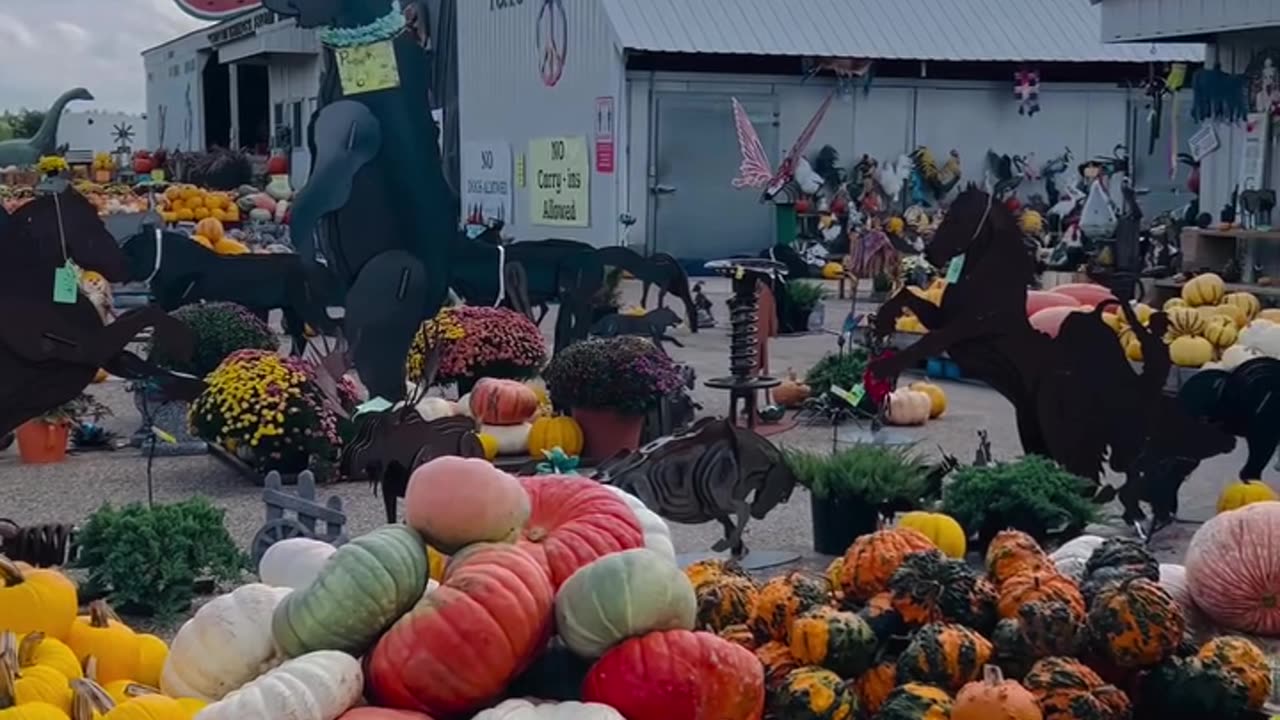 Halloween display at Pecks farm