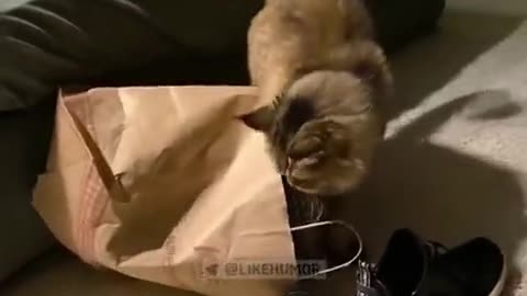 Complex relationship with the package