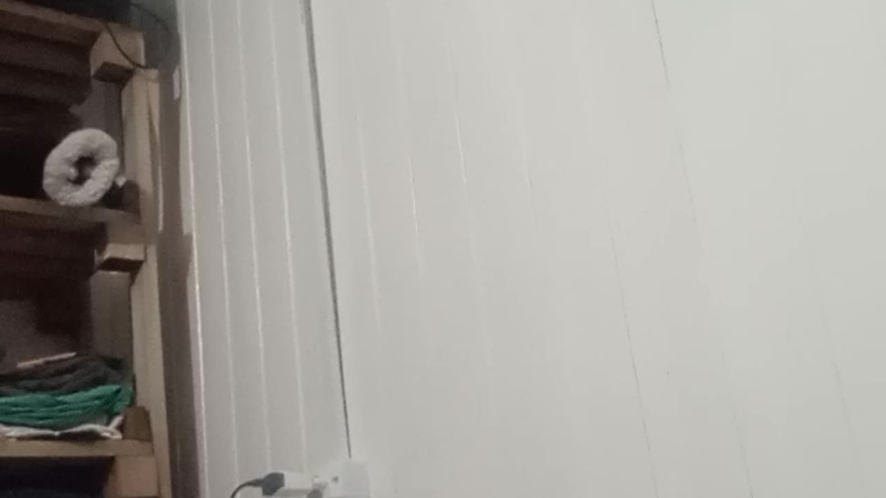 Melodia perdas da vida