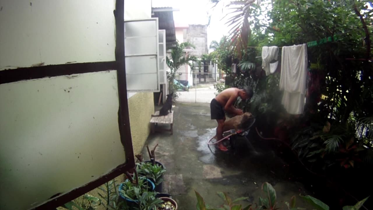 Ligo time ng mga doggy